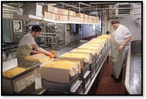 奶制品生产商制造出的大量奶酪（图源：Scott Olson/盖蒂图片社）
