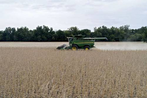 资料图片：9月18日，美国伊利诺伊州，农民收割大豆。（视觉中国）