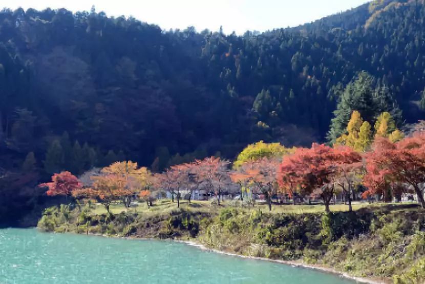 奥多摩湖风光。 图/新华社